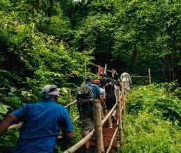 Char Dham Yatra By Road