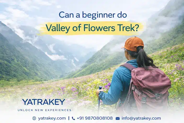 Can a Beginner do Valley of Flowers Trek?